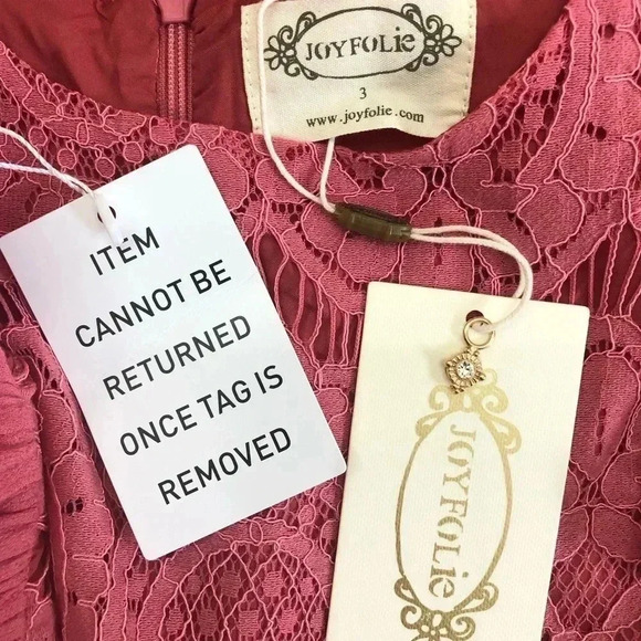 NWT JOYFOLIE Macy Dress Lace Crochet Bodice (3 Girls) Color Wild Rose - Picture 9 of 13